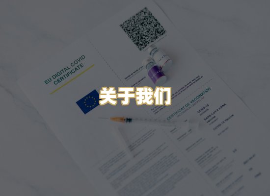 关于我们
